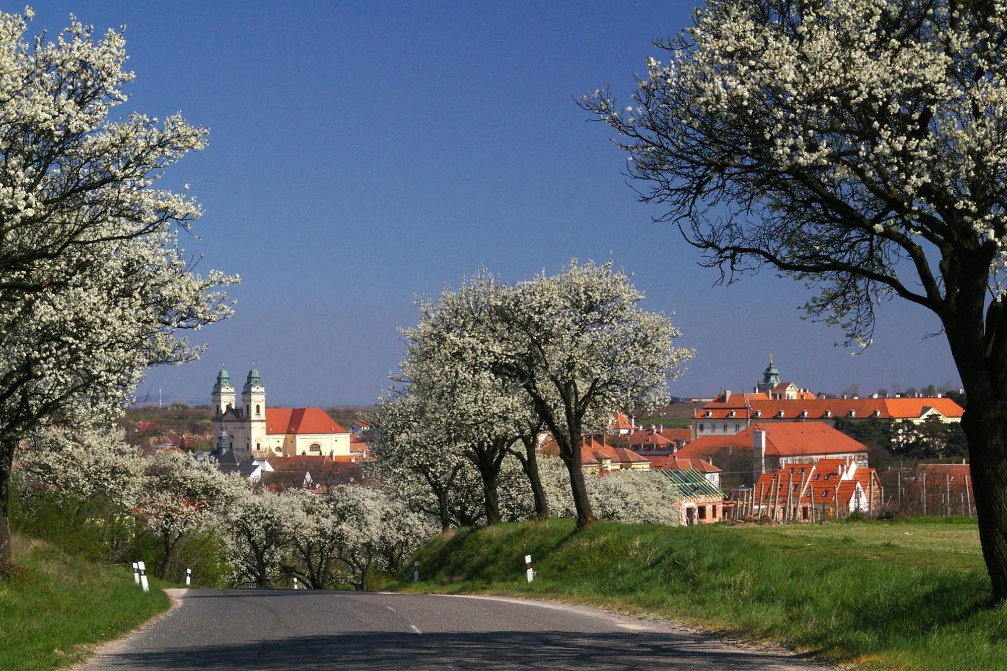 Ubytování Na Vinici Valtice Exteriér fotografie